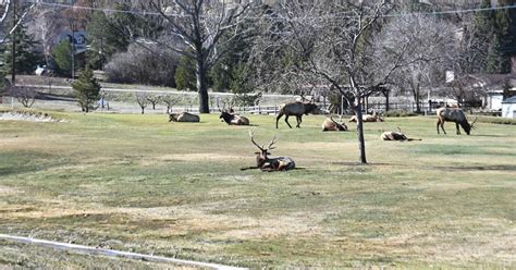 bear valley golf course tehachapi.